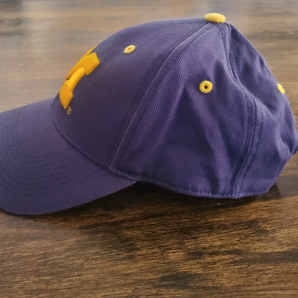 Michigan Wolverines Embroidered‎ Adjustable Cap/Hat, ESPN College Game Day - Picture 5 of 10